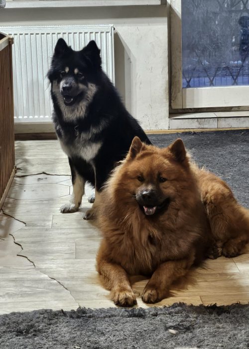 1600bf1f-5e43-4038-bc64-a3ffecbe998b-1_all_10706